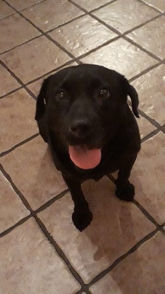 Goodbye our beautiful girl 💕
