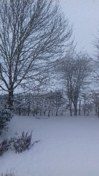 Snow watch part 3 Feb/March 2018