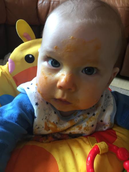 To clap my hands and skip about in a elephantine manner?