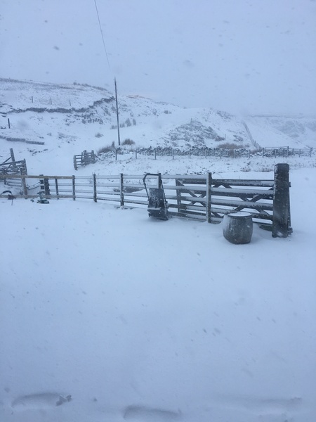 Snow watch part 3 Feb/March 2018