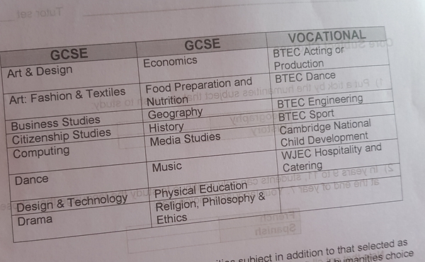 Which 2 Options do you think DS should be looking at for an interest in Engineering...aerospace maybe? Photo Attached