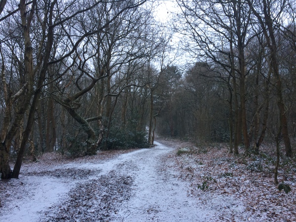 Snow watch part 3 Feb/March 2018