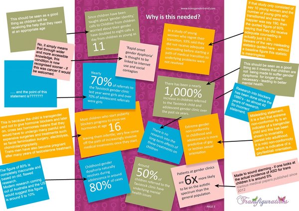 Transgender Trend's new resource pack for schools