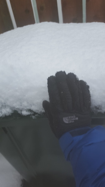 Snow watch part 3 Feb/March 2018