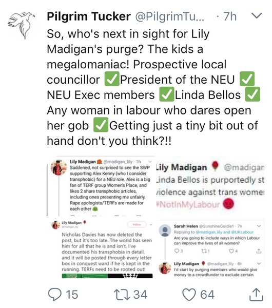 Labour against transphobia group - thread 2