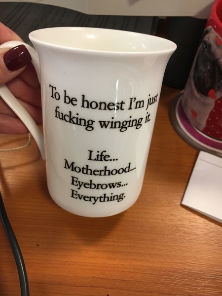 To ask to see your mugs