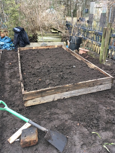 Allotment/Veg patch thread 11 'We bid  farewell to rainbow leaves but will keep plotting along'