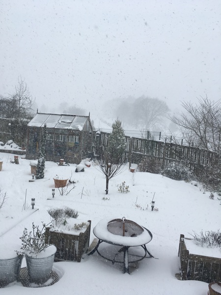 Snow watch part 3 Feb/March 2018