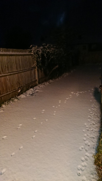 Snow watch part 3 Feb/March 2018