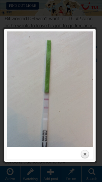 +ve opk? Should I take a preg test?