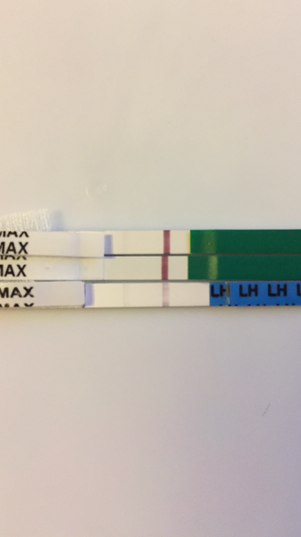 Positive?? Is this my BFP??
