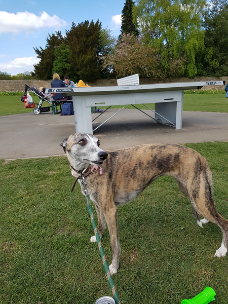 Not dry january. But less booze in general. Anyone else?