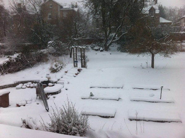 Week 8 - Low Carb Bootcamp - lucky number for some!