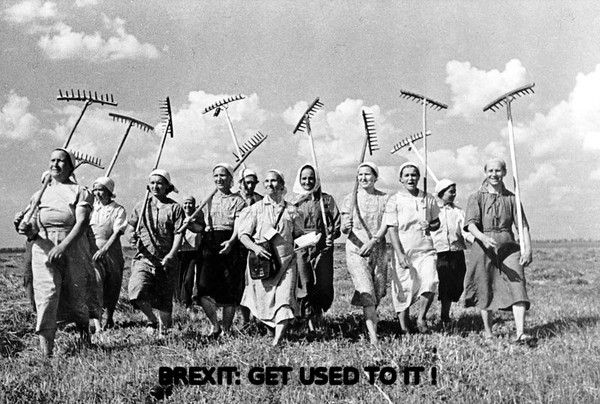 The Leavers Lagoon - for people positive about our future outside of the EU.