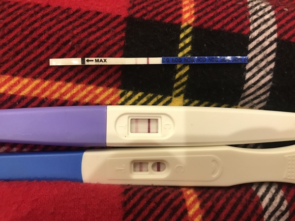 October 2018 baby bus