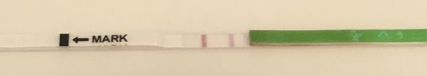Thread 6 PCOS support