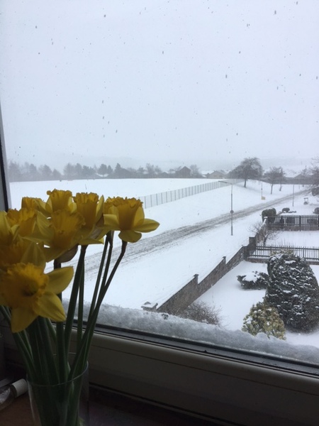 Snow watch part 3 Feb/March 2018