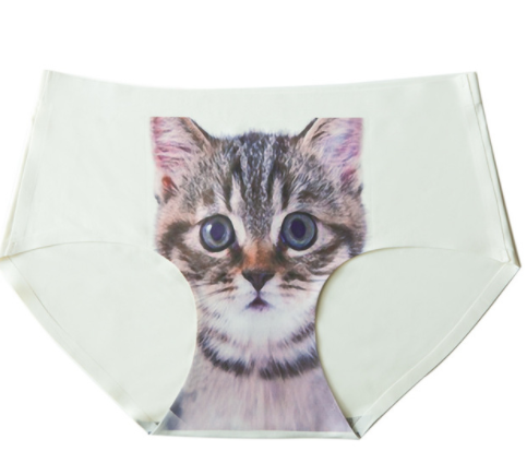 To  wear these knickers ?