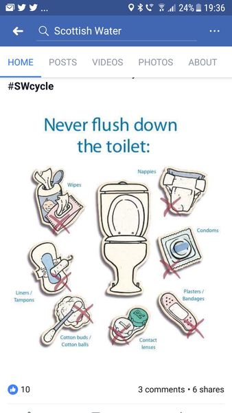 To not understand how you can be so ignorant and unaware of the world around you that you still flush wet wipes and tampons down the toilet?