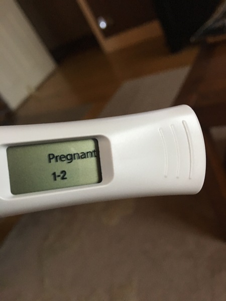 IVF Cycle Buddies August/September?