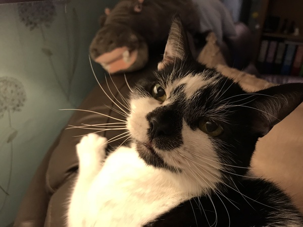 Can I have a hand hold please?