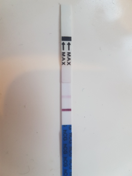 Feb Bus! Fingers crossed
