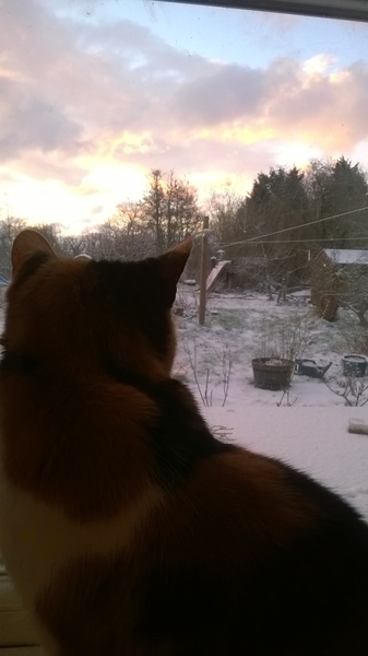 Swagger Inn thread 154 - wenches find new ways to describe going on Strike<ylt>