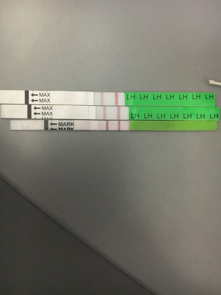 OPK .... another one