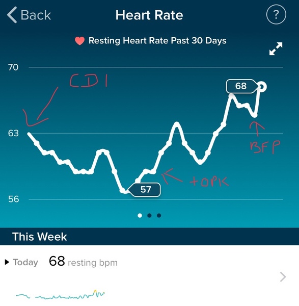 *FITBIT USERS* RHR instead of BBT