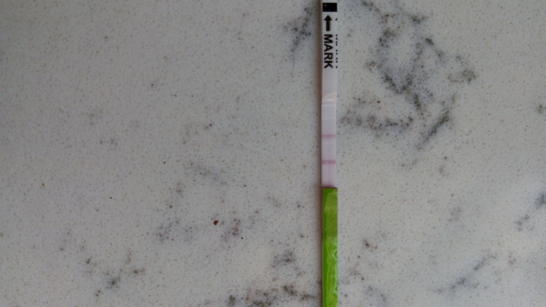 Positive OPK?