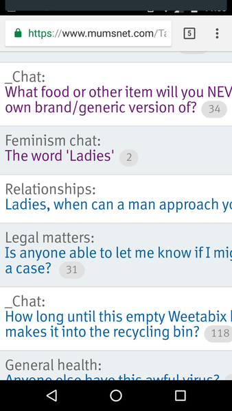 The word 'Ladies'