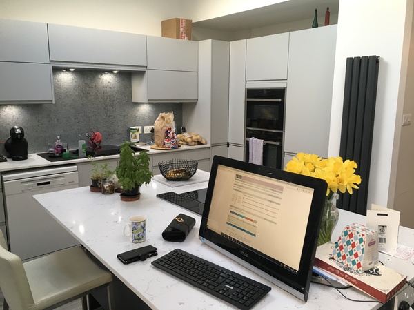 Totally overwhelmed with new kitchen decisions.... help appreciated
