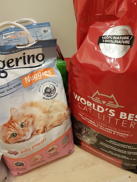 Types of litter? I need help....