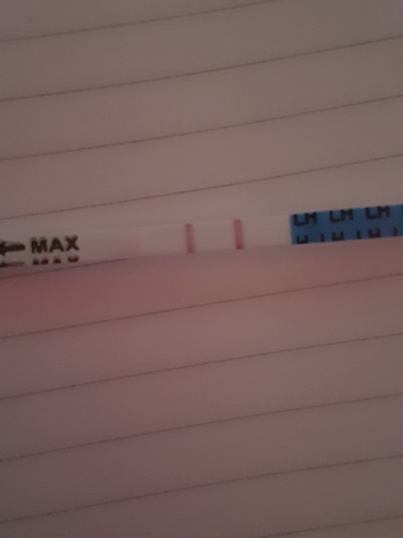 Ok, is this FINALLY a positive ovulation test?