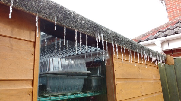 Snow watch part 3 Feb/March 2018