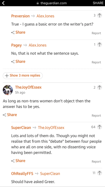 Guardian has debate on all-women shortlists