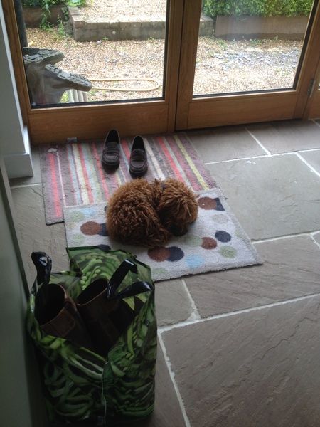 Kitchen tiles - best sort for disguising paw prints
