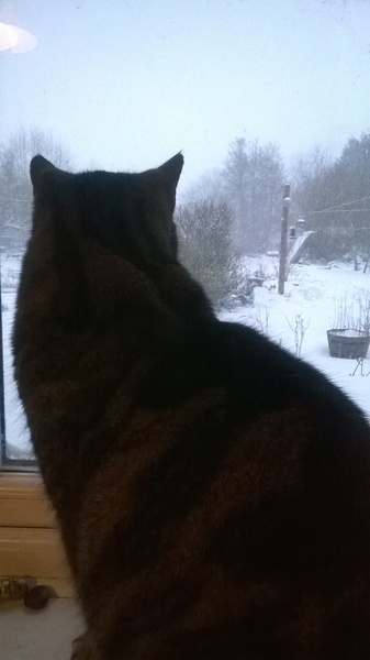 Swagger Inn thread 154 - wenches find new ways to describe going on Strike<ylt>