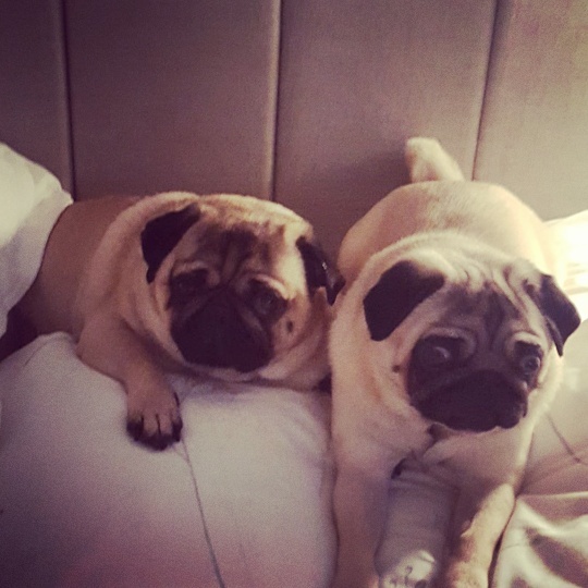 Share your top sleeping tips with Dreams for the chance to win a £300 voucher! NOW CLOSED