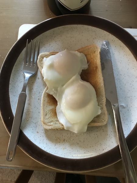 To throw the stupid egg poacher in the bin?