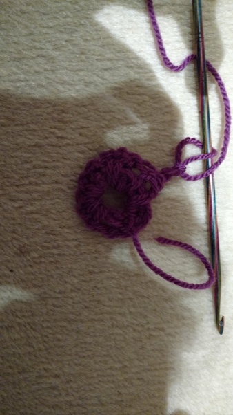 Crochet Beginner for Woolly Hug