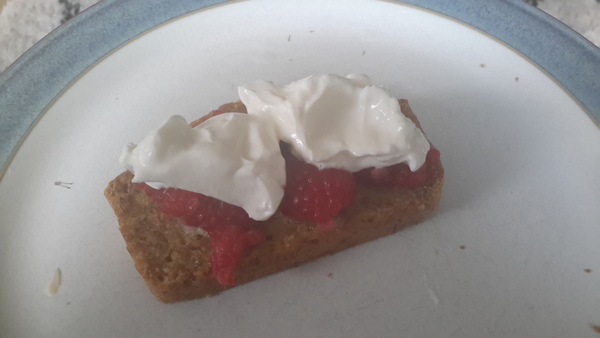 Week 4 – Is this the new normal?  Because it feels great!