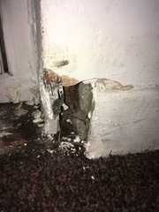 Skirting board issues!