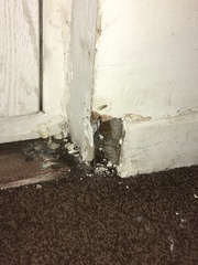 Skirting board issues!