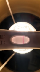 Is this a line?? Will it turn into bfp?