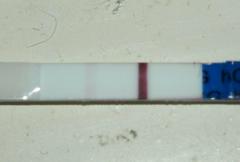 Faint positives? TTC after mc