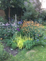 Complete beginner with a garden for the first time