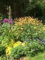 Clearing the garden