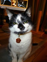 Harry's Results