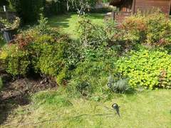 Clearing the garden